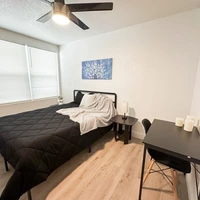 Coliving in Forest Hills Tampa - North Tampa, Tampa
