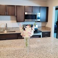 Coliving in South Mountain - Phoenix, Phoenix