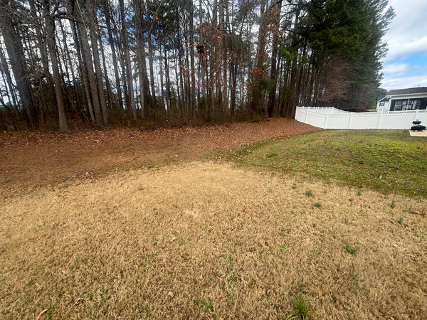 Coliving in Renaissance Park - South Raleigh, Raleigh