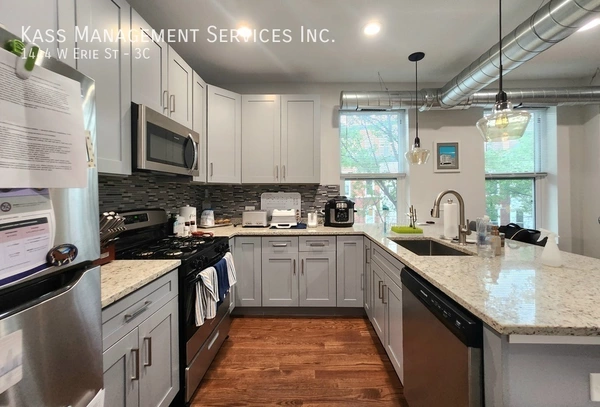 3 bedrooms apartment for rent in West Town - West Side, Chicago