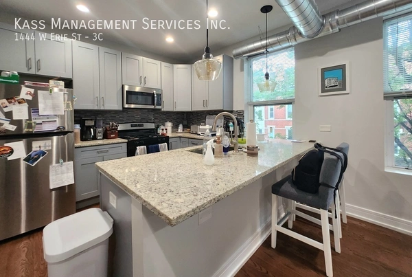 3 bedrooms apartment for rent in West Town - West Side, Chicago