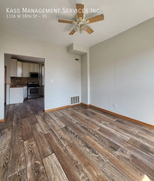 1 bedroom apartment for rent in Lower West Side - West Side, Chicago