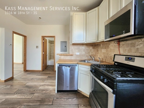 1 bedroom apartment for rent in Lower West Side - West Side, Chicago