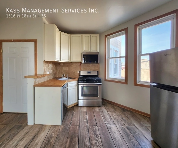 1 bedroom apartment for rent in Lower West Side - West Side, Chicago