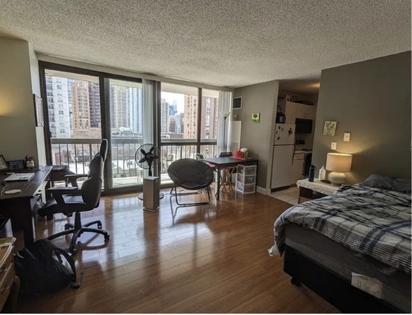 Studio Apartment for rent in Near North Side - Central, Chicago