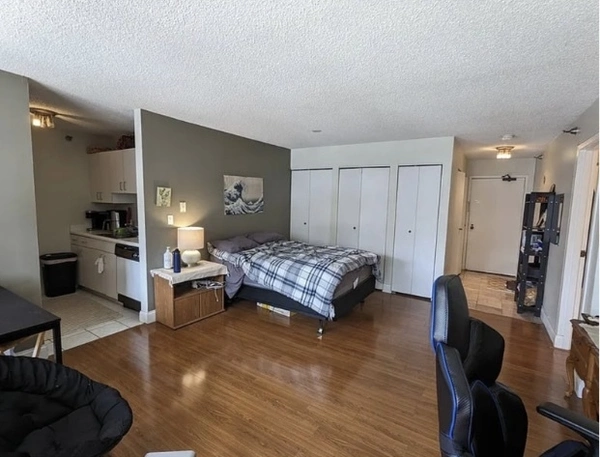 Studio Apartment for rent in Near North Side - Central, Chicago