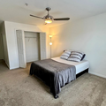 Coliving in NoDa - Central Charlotte, Charlotte