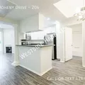 1 bedroom apartment for rent in Beverly Hills - Westside / South Bay, Los Angeles