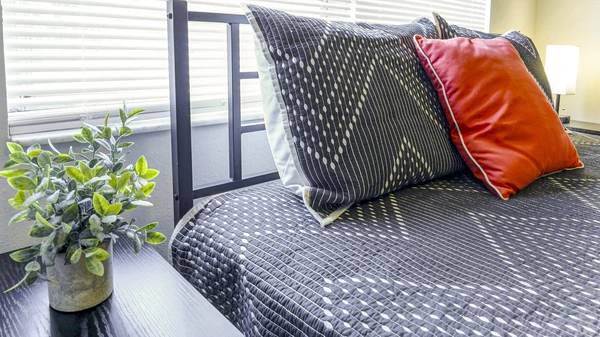 Coliving in Lowry Park North - North Tampa, Tampa