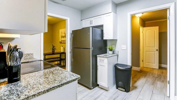 Coliving in Lowry Park North - North Tampa, Tampa