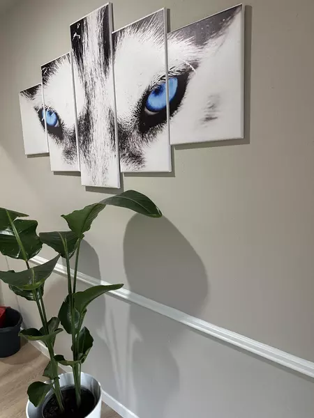 Coliving in Westchase - West Houston, Houston