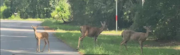 Coliving in The Woodlands - Nw Houston, Houston