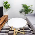 Coliving in Flatbush Ditmas Park - Brooklyn, New York