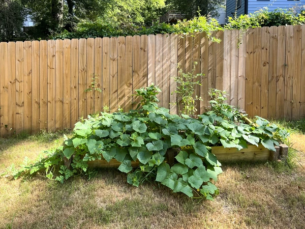 Coliving in Capital View ATL - South Atl, Atlanta