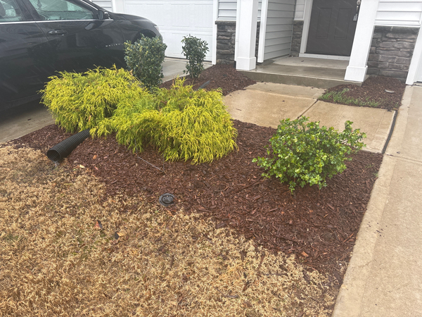 Coliving in Southeast Raleigh - South Raleigh, Raleigh