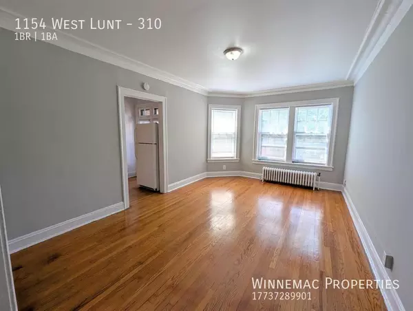 1 bedroom apartment for rent in Rogers Park - Far North Side, Chicago