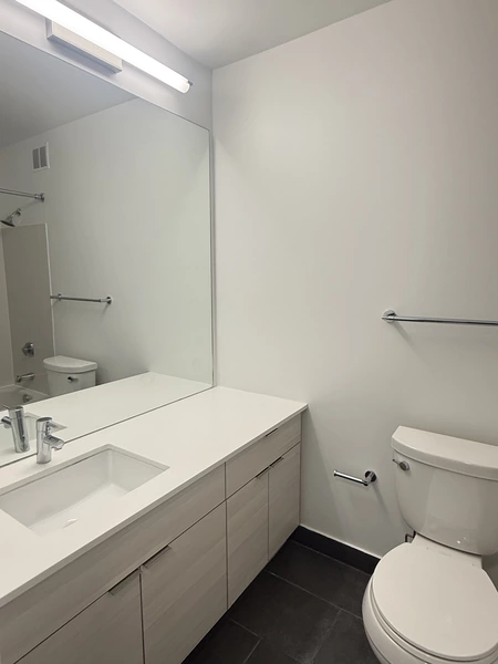 2 bedrooms apartment for rent in Streeterville - Central, Chicago