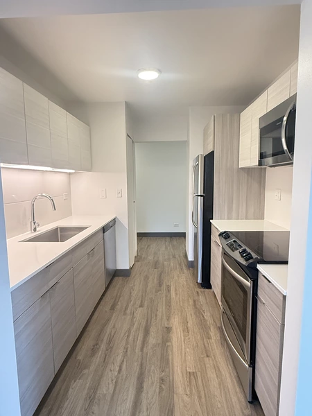 2 bedrooms apartment for rent in Streeterville - Central, Chicago