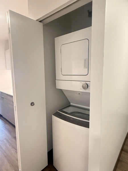 2 bedrooms apartment for rent in Streeterville - Central, Chicago