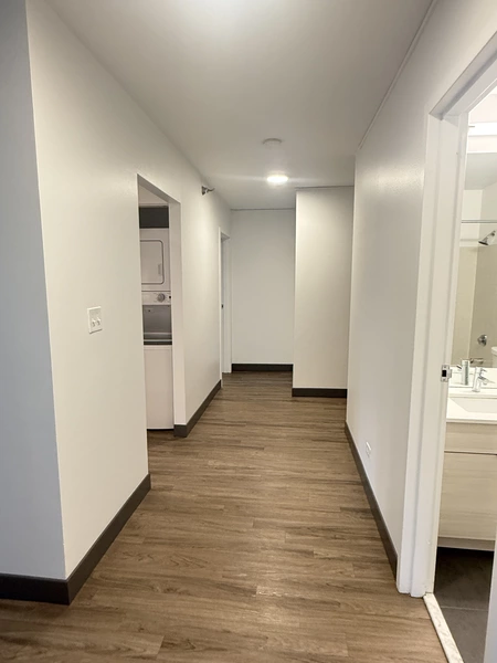 2 bedrooms apartment for rent in Streeterville - Central, Chicago