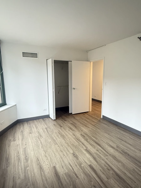 2 bedrooms apartment for rent in Streeterville - Central, Chicago