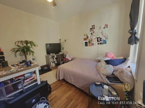 Studio Apartment for rent in Brighton - Boston, Boston