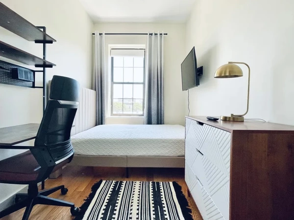 Coliving in Crown Heights - Brooklyn, New York