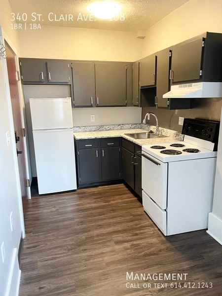 1 bedroom apartment for rent in King-Lincoln Bronzeville - East Columbus, Columbus