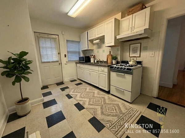 1 bedroom apartment for rent in Brighton - Boston, Boston