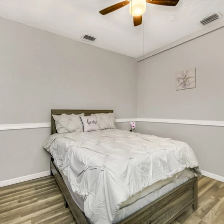 Coliving in Jungle Terrace - Clearwater-St. Petersburg, Tampa