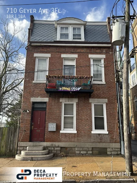 1 bedroom apartment for rent in Soulard - Central STL, Saint Louis