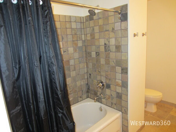 1 bedroom apartment for rent in Greektown - West Side, Chicago