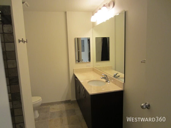 1 bedroom apartment for rent in Greektown - West Side, Chicago