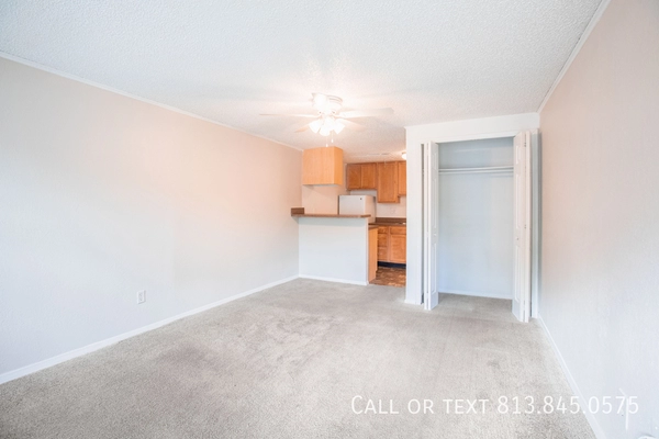 Studio Apartment for rent in Lowry Park North - North Tampa, Tampa