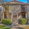 2 bedrooms apartment for rent in University - North Tampa, Tampa