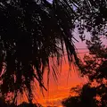 Coliving in Highlands - Northside, Jacksonville