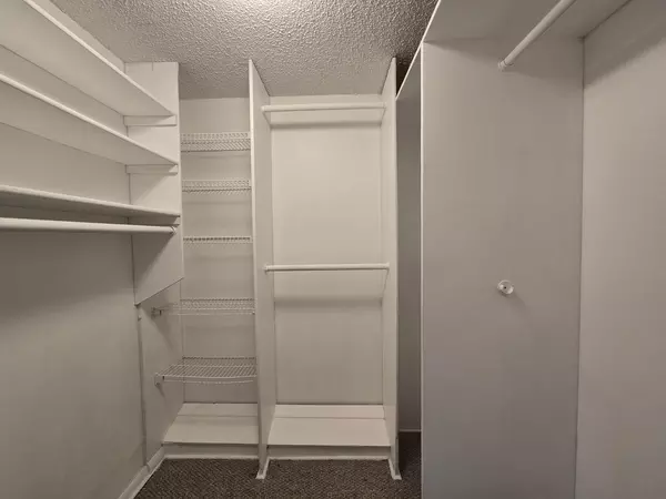 Coliving in Davie - Broward County, Miami