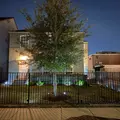 Coliving in Montrose - Inner Loop, Houston