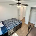 Coliving in Montrose - Inner Loop, Houston
