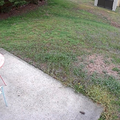 Coliving in Coulwood West - West Charlotte, Charlotte