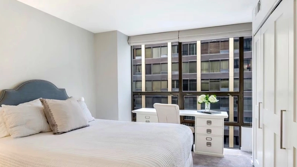 1 bedroom apartment for rent in Streeterville - Central, Chicago