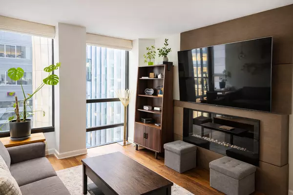 1 bedroom apartment for rent in Streeterville - Central, Chicago