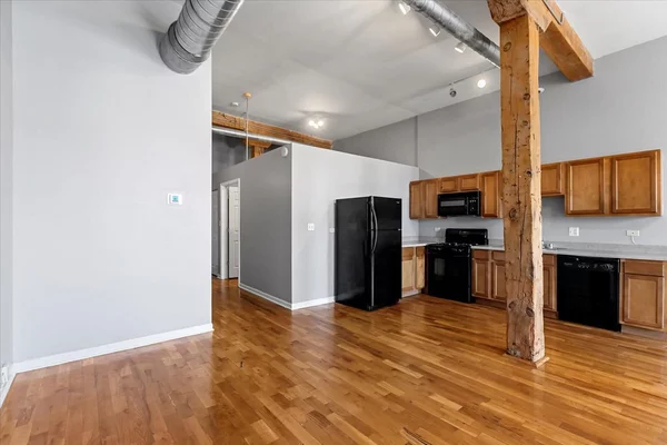 1 bedroom apartment for rent in Lower West Side - West Side, Chicago