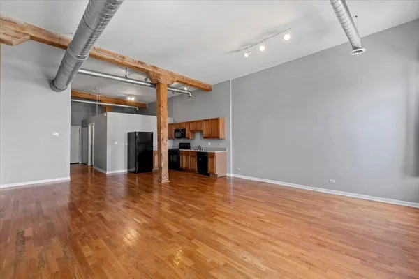 1 bedroom apartment for rent in Lower West Side - West Side, Chicago