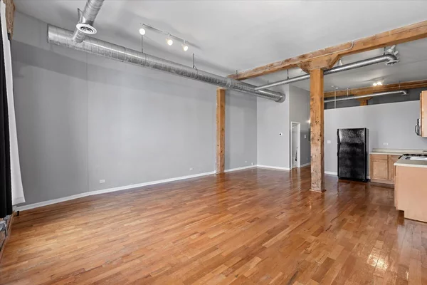 1 bedroom apartment for rent in Lower West Side - West Side, Chicago