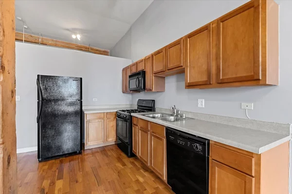 1 bedroom apartment for rent in Lower West Side - West Side, Chicago