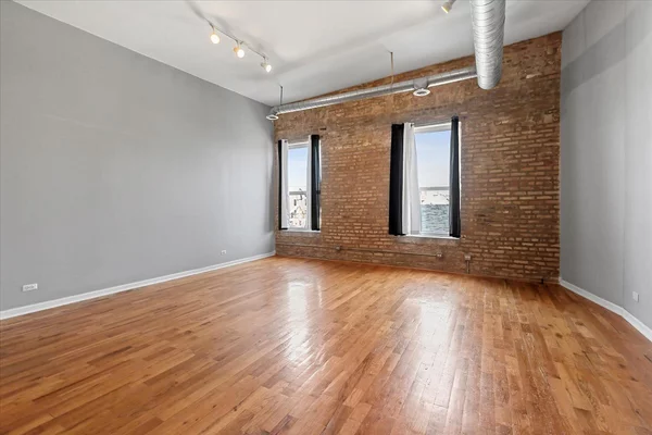1 bedroom apartment for rent in Lower West Side - West Side, Chicago