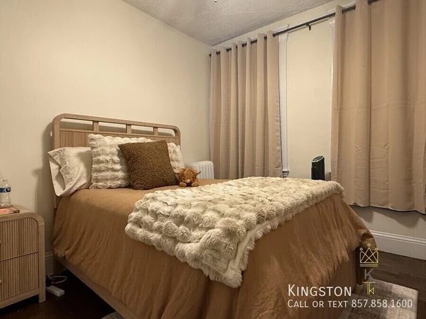 1 bedroom apartment for rent in Brighton - Boston, Boston