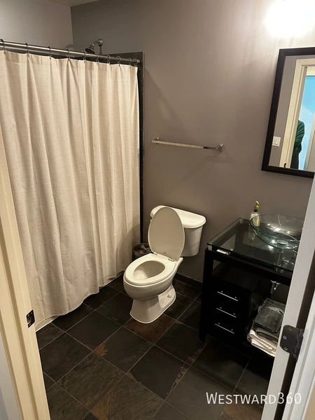 2 bedrooms apartment for rent in Greektown - West Side, Chicago