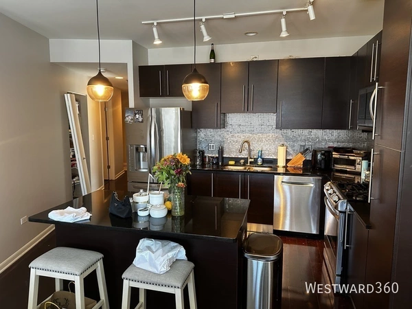 2 bedrooms apartment for rent in Greektown - West Side, Chicago